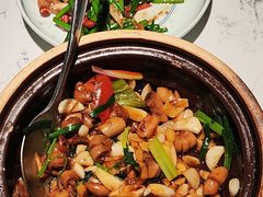 -大榕树下顺德菜(融创茂店)
