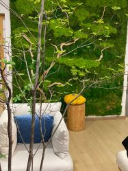 -POCO宝珂丽科技美肤