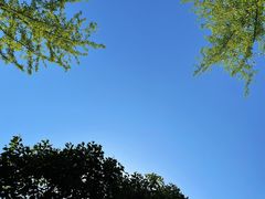 -洨河生态公园