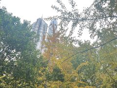 -陆家嘴中心绿地