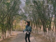 -西青郊野公园
