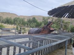 -新疆天山野生动物园