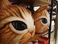 -猫咪博物馆(顶澳仔猫街店)