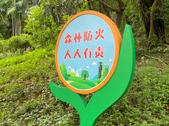 -深圳龙潭公园