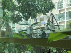 -绿房子方寸咖啡(星海名城店)