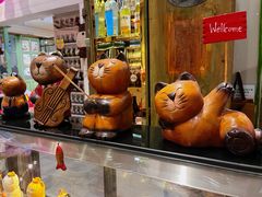 -猫咪博物馆(顶澳仔猫街店)