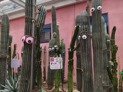 -正佳雨林生态植物园