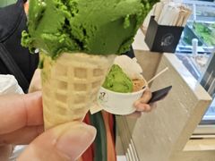 -鹤茶野所(上海首店)