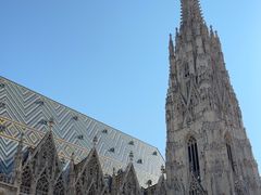 -斯蒂芬主教座堂(Stephansdom)