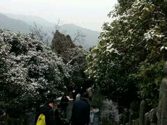 -武当山风景区