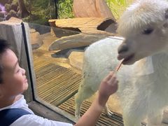 -苏州海洋馆