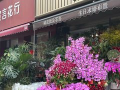 -溪岸路花鸟市场