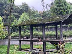 -碧峰峡风景区