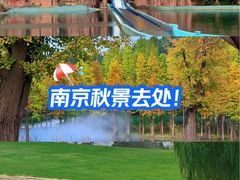 -南京银杏湖乐园