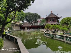 -碧江金楼