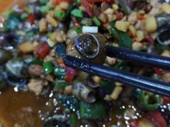 -全乐鱼馆·淳牌有机鱼直营店