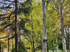 -西安市长乐公园