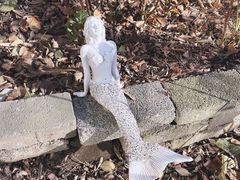 -风车面包