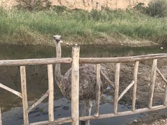 -水洞沟旅游区