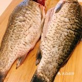 继续鲫鱼下去 这次买两条稍微大点的