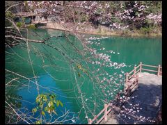 -蒋氏故居