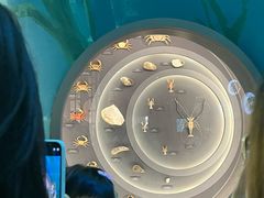 -中国湿地博物馆