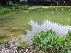 -燕晗山郊野公园
