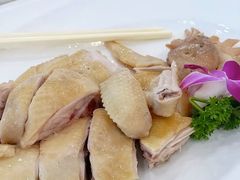 白切本地鸡-渔民新村(番禺总店)
