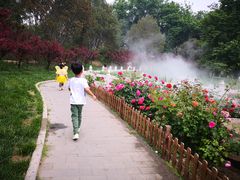 -丰台花园