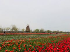 -漩门湾国家湿地公园