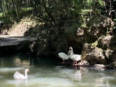 -兰亭风景区