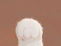 -麦当劳(西单明珠店)