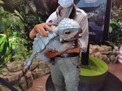 -侏罗纪世界电影特展(广州站)