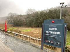 -延安杨家岭革命旧址