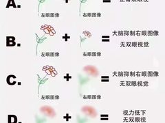 -宝视达眼镜(美中城店)
