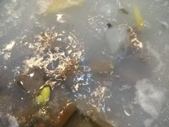 -华哥新鲜猪精品美食