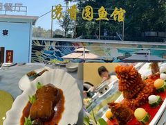 -丁老爷子苏香圆
