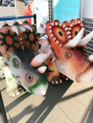 -恐龙探索乐园(磁器口店)