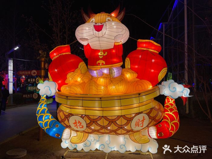 南宫五洲植物乐园图片