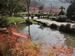 -中国茶叶博物馆(双峰馆区)