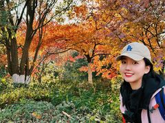 -镇江市南山风景名胜区竹林景区