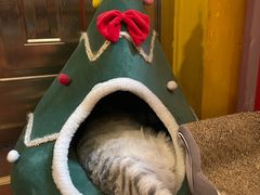 -H立方实景剧情密室(天河旗舰店)