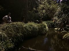-夜间野生动物园