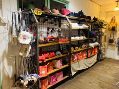 -猫咪博物馆(顶澳仔猫街店)