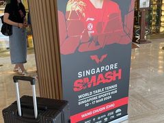 -新加坡瑞士史丹福酒店