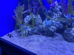-广州海洋馆