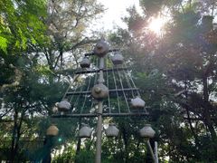 -北海金海湾红树林生态旅游区