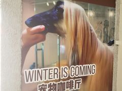 -赢吧Bliss音乐酒吧