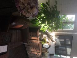 WHITENESS&nbsp;COUTURE&nbsp;STUDIO纯色时光婚纱艺术馆-纯色时光婚纱艺术馆WHITE