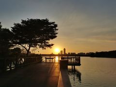 -海珠湖公园